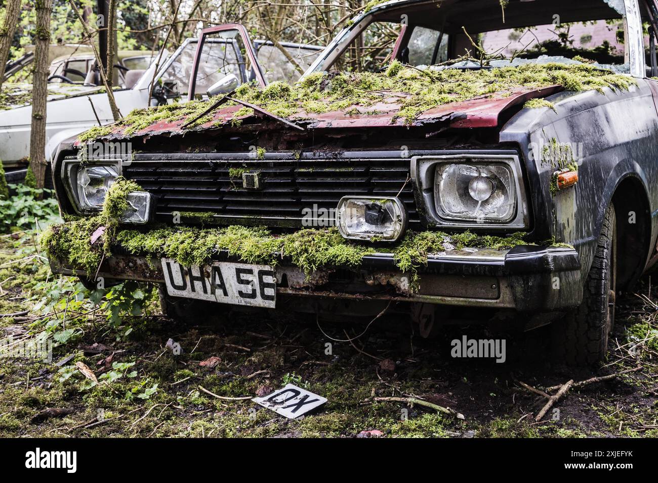 Un'auto da rottami Beat Up ricoperta di muschio in un cimitero di vecchie auto d'epoca Foto Stock