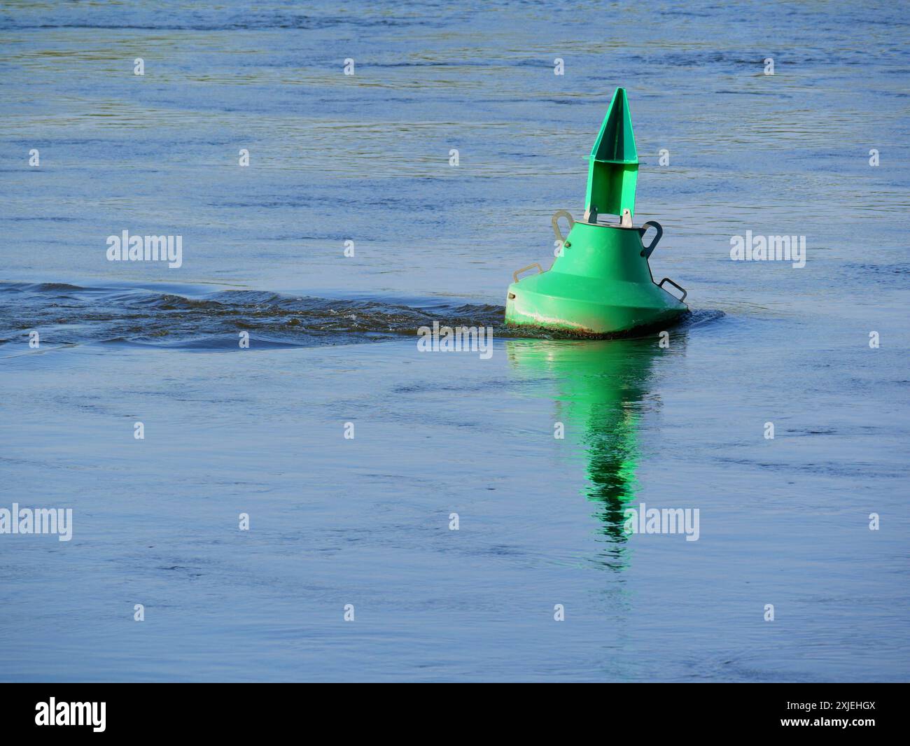 Boa verde nell'Elba vicino a Dresda, essenziale per la navigazione e la sicurezza nella navigazione fluviale. Foto Stock