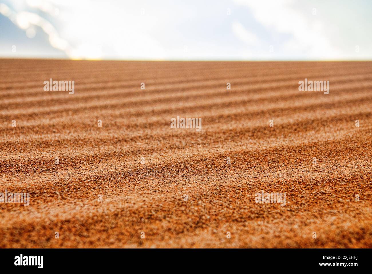 Deserti rossi della parte sud-orientale della penisola arabica. Processi eoliani. Segni di ondulazione (ondulazione dritta) e metarippli di sabbia (barkhan) in J. Foto Stock