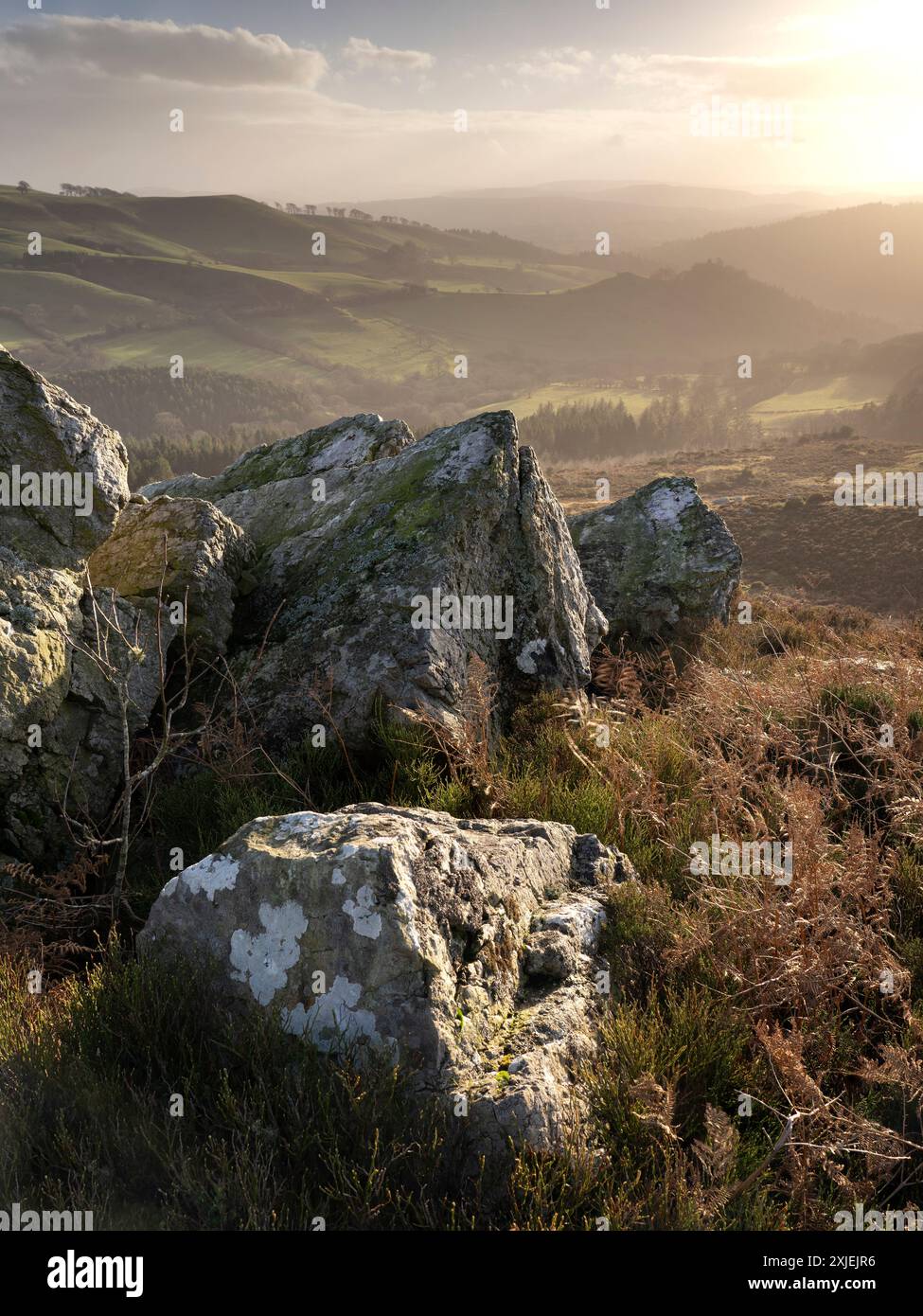 Paesaggi spettacolari e viste da The Stiperstones, una cresta di quarzite esposta nel South Shropshire, Regno Unito Foto Stock