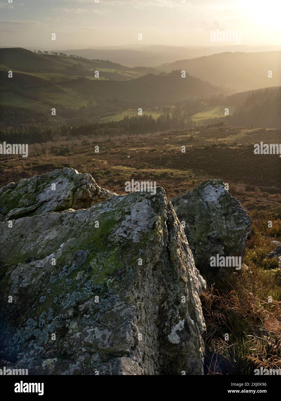 Paesaggi spettacolari e viste da The Stiperstones, una cresta di quarzite esposta nel South Shropshire, Regno Unito Foto Stock