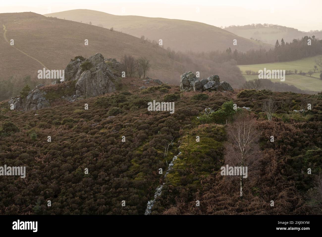 Paesaggi spettacolari e viste da The Stiperstones, una cresta di quarzite esposta nel South Shropshire, Regno Unito Foto Stock