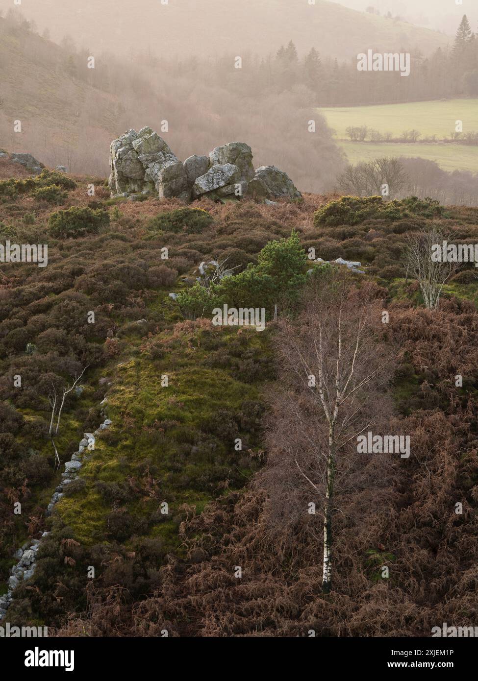 Paesaggi spettacolari e viste da The Stiperstones, una cresta di quarzite esposta nel South Shropshire, Regno Unito Foto Stock