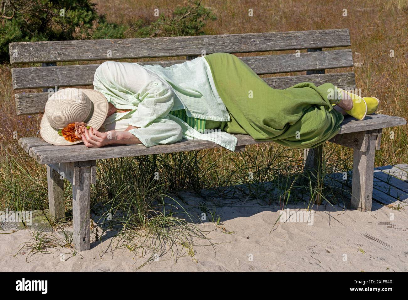 Donna anziana che dorme sulla panchina, pisolino, sentiero escursionistico, riserva naturale, Darßer Ort, nato a. Darß, Meclemburgo-Pomerania occidentale, Germania Foto Stock
