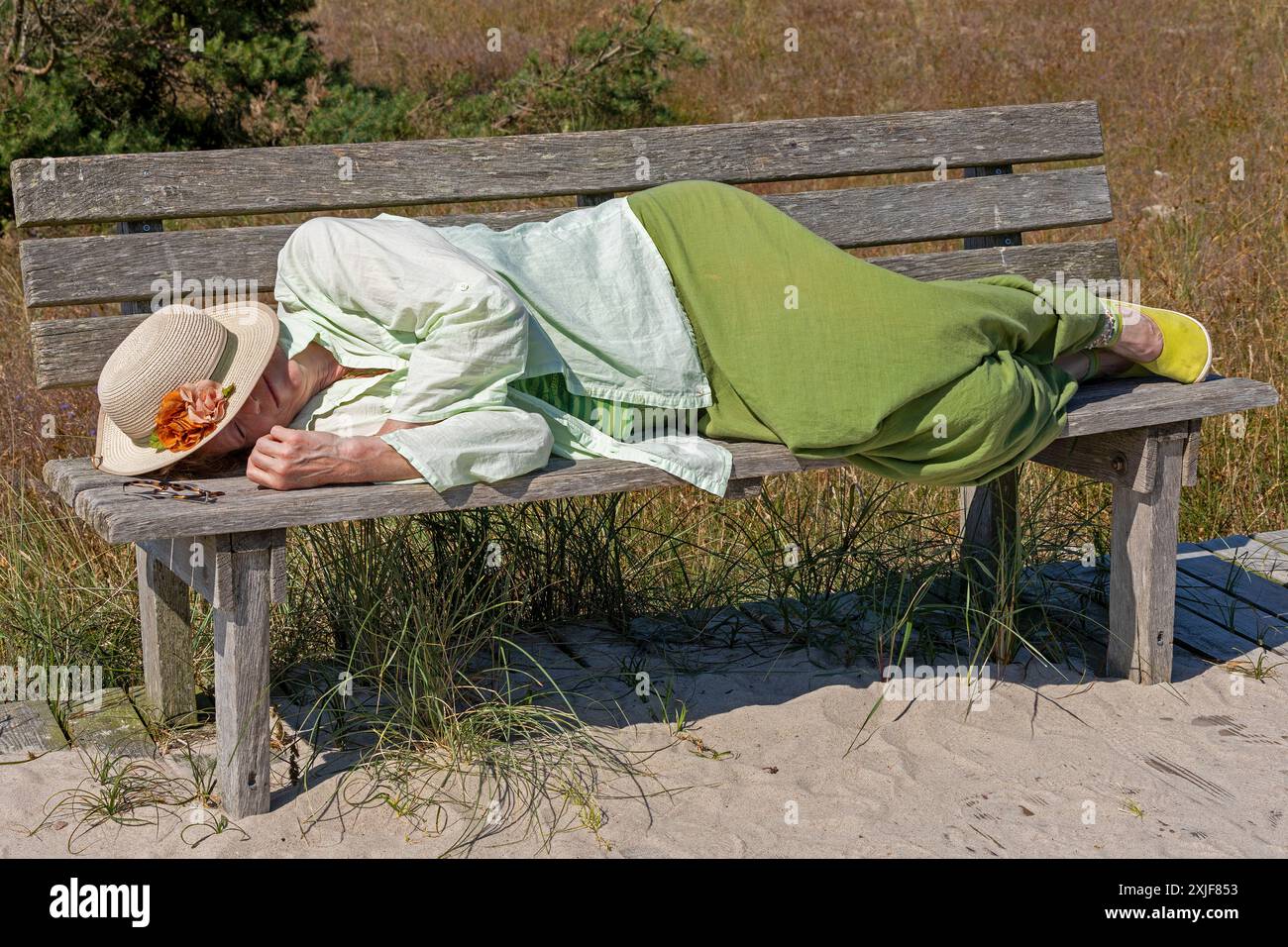 Donna anziana che dorme sulla panchina, pisolino, sentiero escursionistico, riserva naturale, Darßer Ort, nato a. Darß, Meclemburgo-Pomerania occidentale, Germania Foto Stock