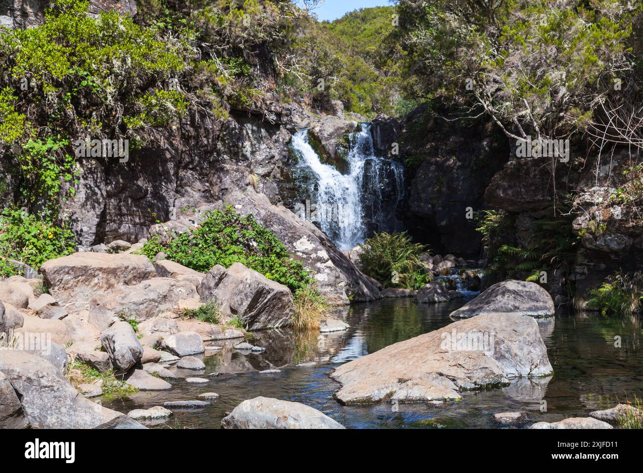 Cascata a Calheta Levada. Foto paesaggistica dell'isola di Madeira, Portogallo Foto Stock