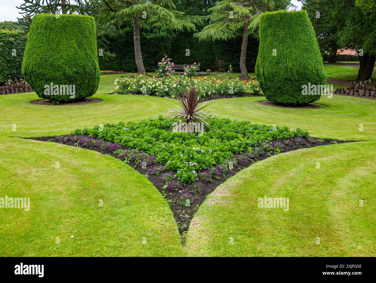 Vista del castello di Dirleton, giardino formale con aiuole di rose sagomate e alberi di tasso topiario, East Lothian, Scozia, Regno Unito Foto Stock