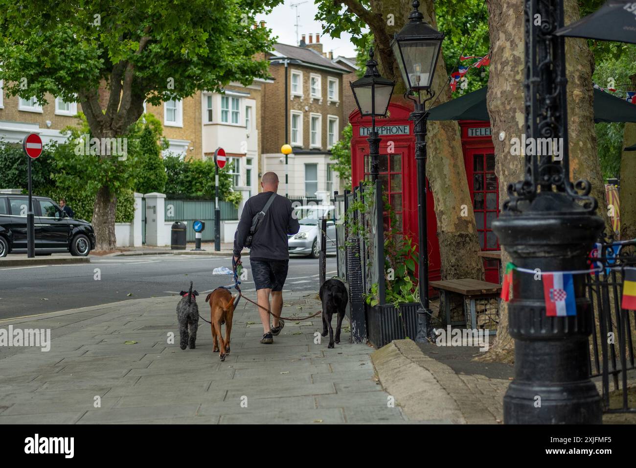 LONDRA - 3 LUGLIO 2024: Uomo che cammina 3 cani nella zona di Maida vale nel centro di Londra ovest Foto Stock