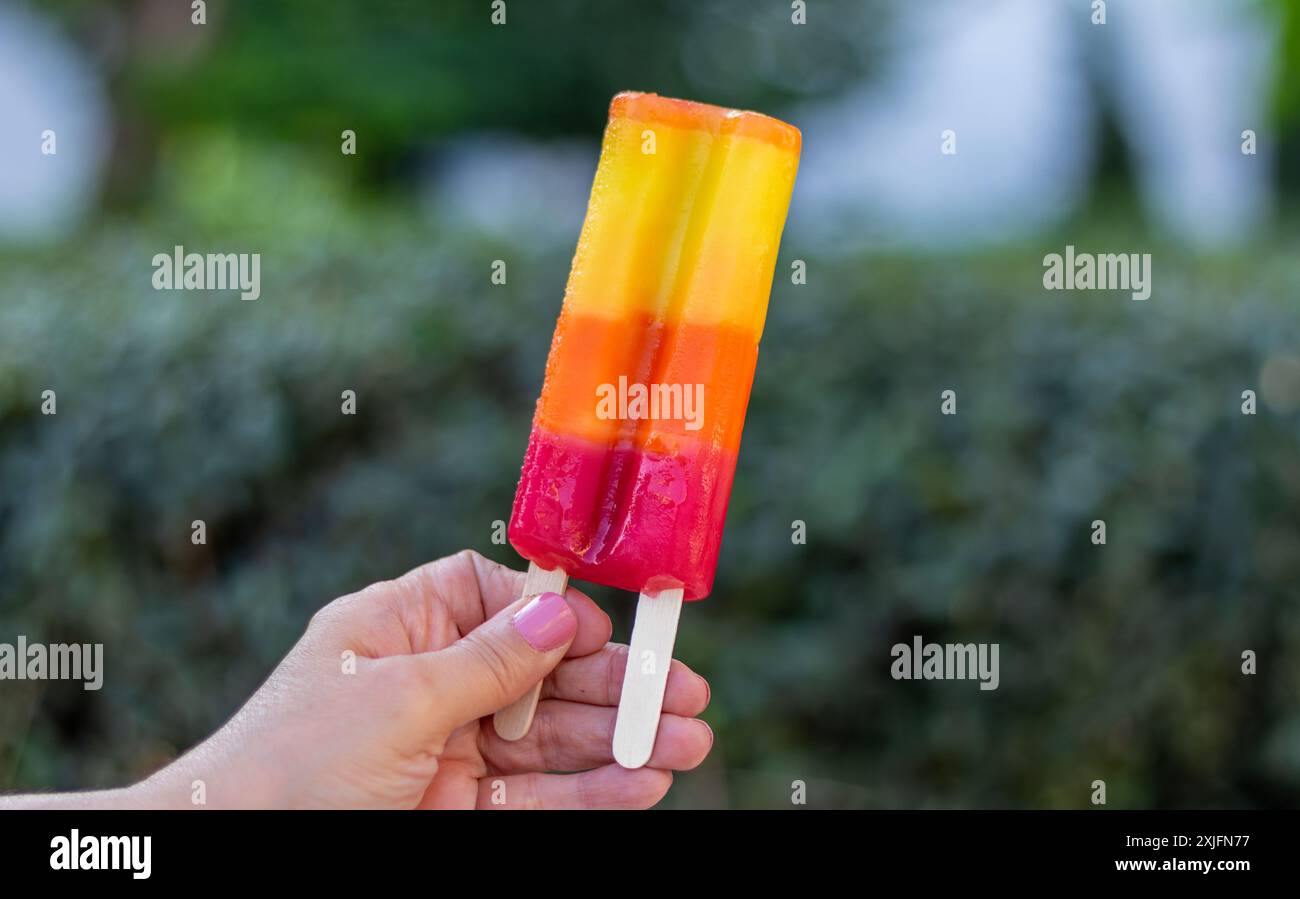 Papavero di frutta. Foto Stock