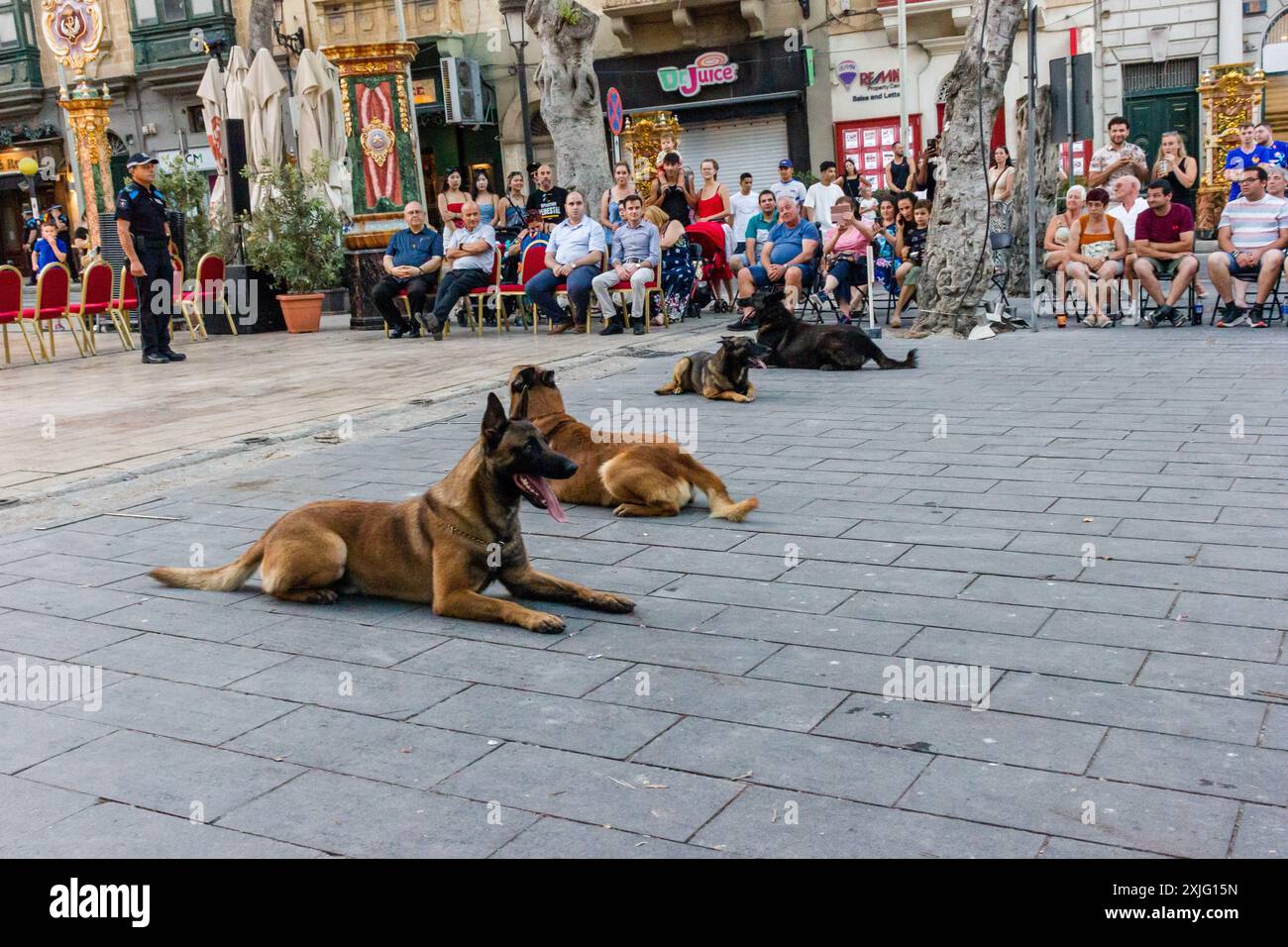 VICTORIA, GOZO - 9 LUGLIO 2024 spettacolo della polizia di Malta con i cani della polizia e i gestori della squadra K9 Foto Stock