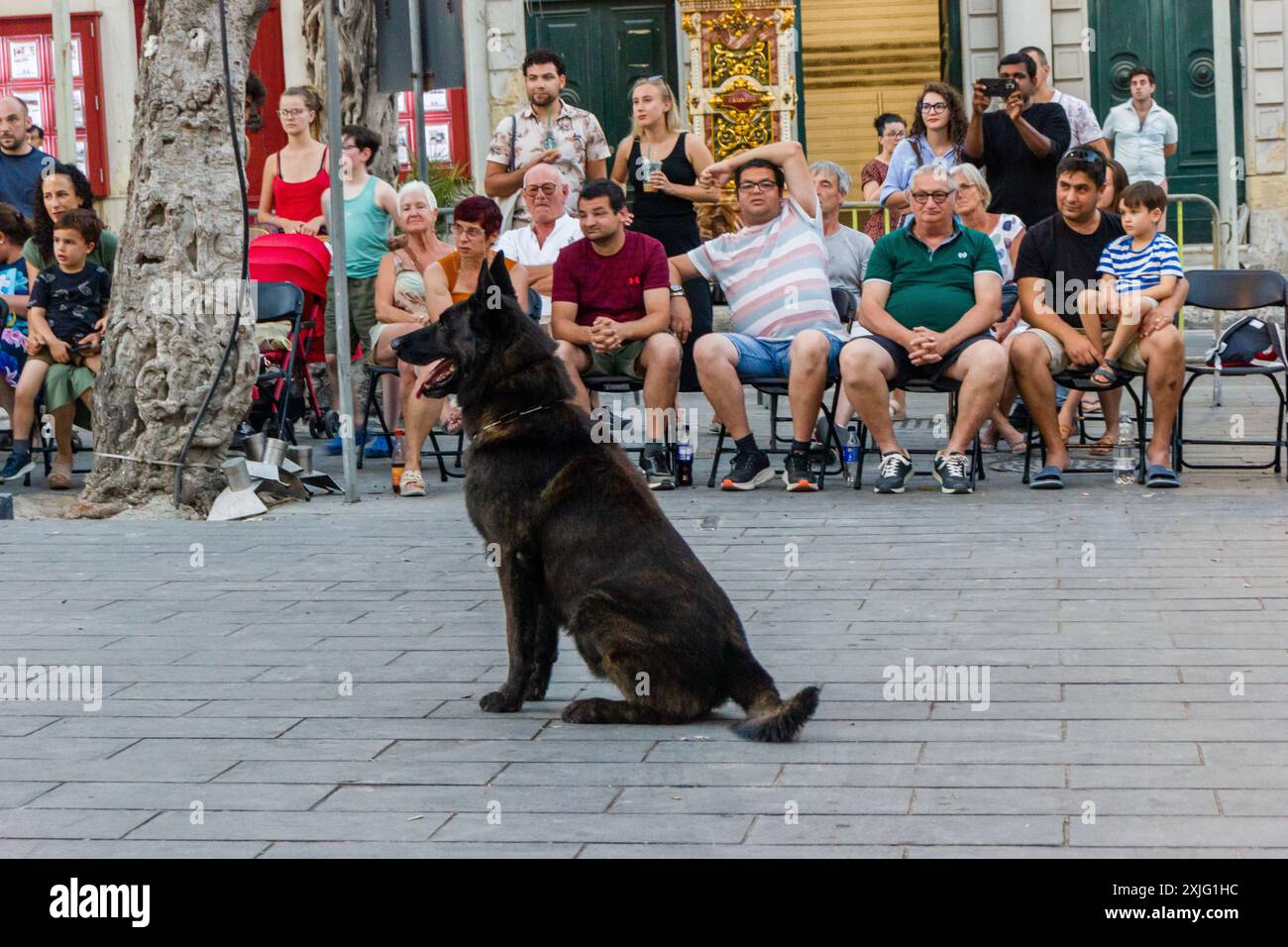 VICTORIA, GOZO - 9 LUGLIO 2024 spettacolo della polizia di Malta con i cani della polizia e i gestori della squadra K9 Foto Stock
