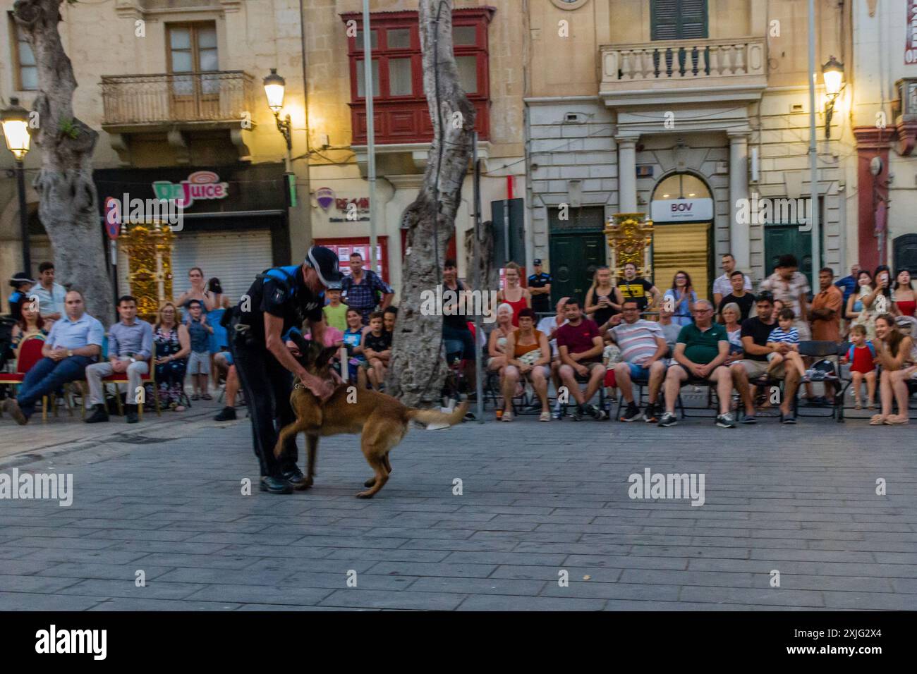 VICTORIA, GOZO - 9 LUGLIO 2024 spettacolo della polizia di Malta con i cani della polizia e i gestori della squadra K9 Foto Stock