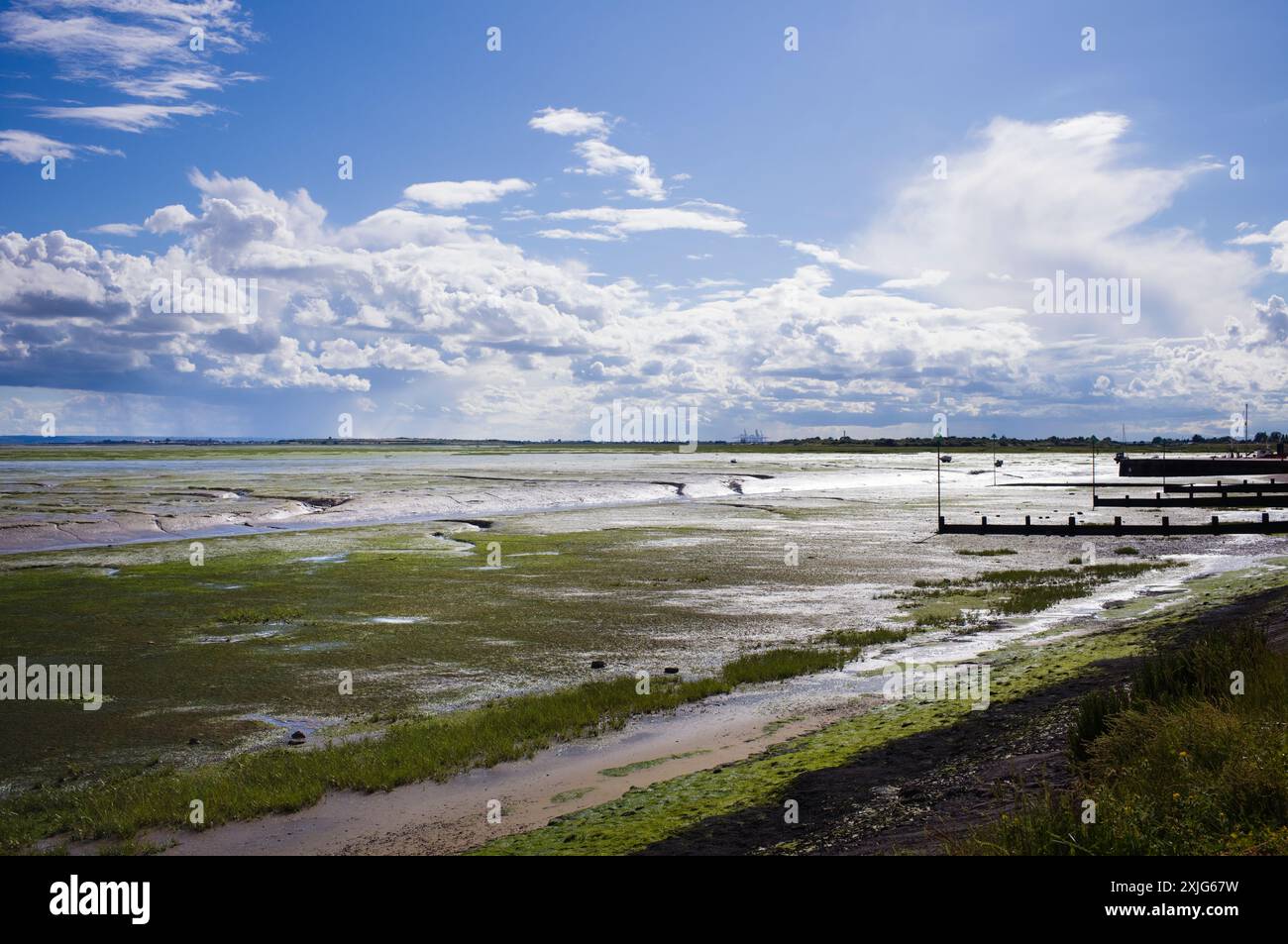 Distese di fango e groynes a Leigh on Sea nell'Essex Foto Stock