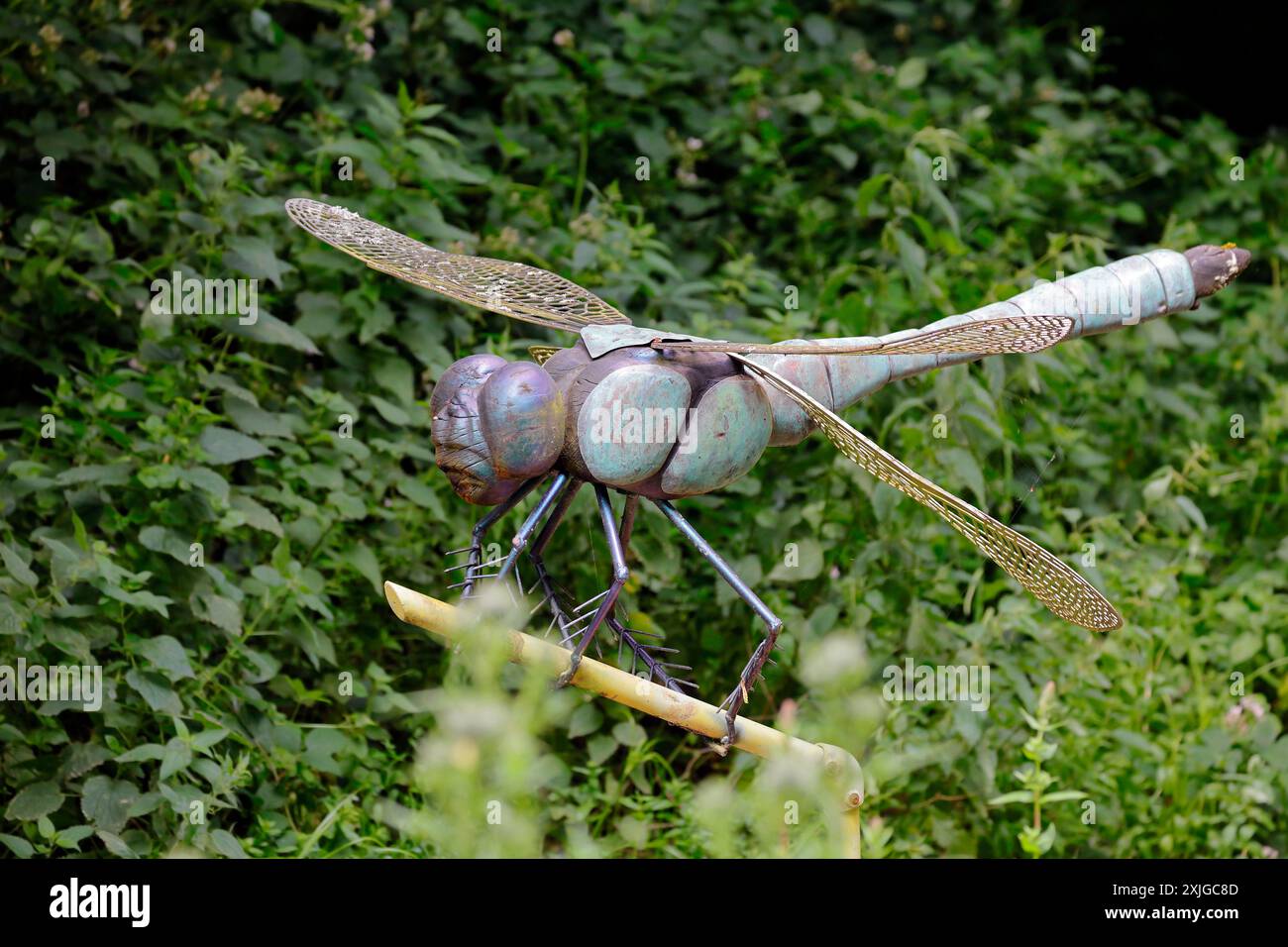 Grandi opere d'arte di libellule in metallo presso Forest Farm, Galles del Sud. Data: Luglio 2024 Foto Stock