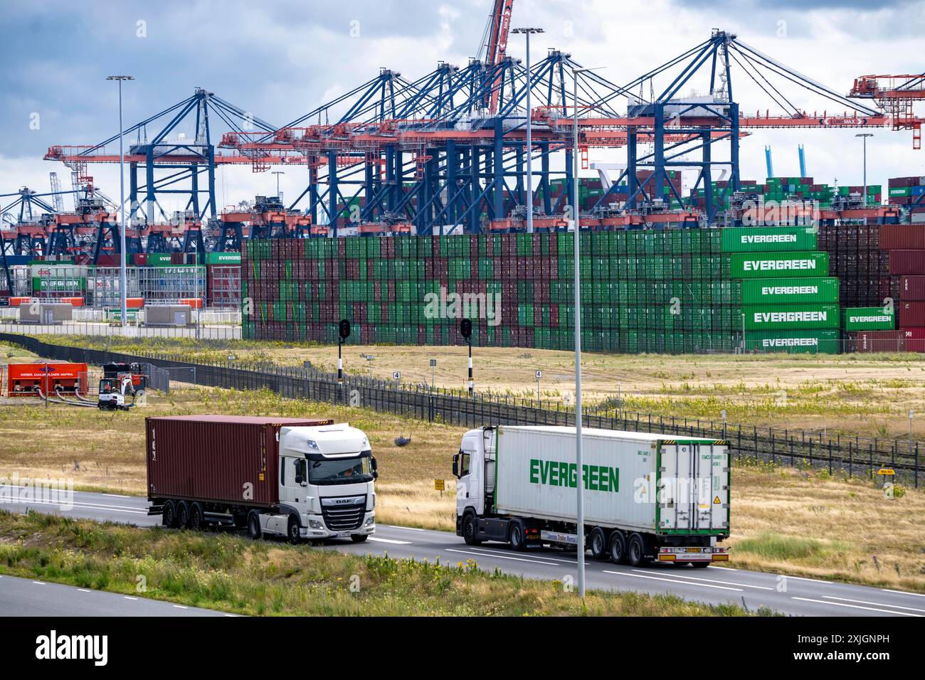 Porto marittimo di Rotterdam, Paesi Bassi, porto di acque profonde Maasvlakte 2, su una superficie artificiale al largo della costa originaria, Hutchison Ports ECT Euromax term Foto Stock