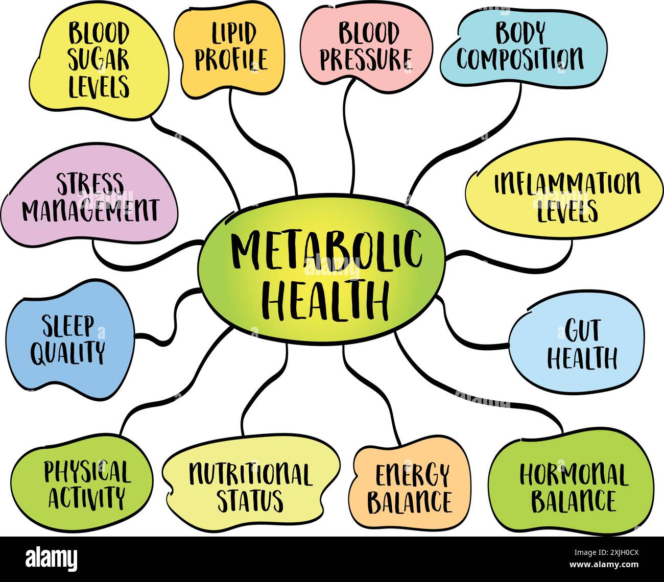 componenti e fattori che influenzano la salute metabolica, infografica vettoriale schizzo della mappa mentale Illustrazione Vettoriale