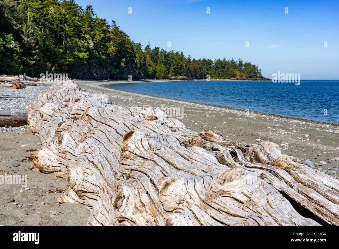 Deception Pass State Park, Washington, Stati Uniti. Driftwood sulla costa di North Beach Foto Stock