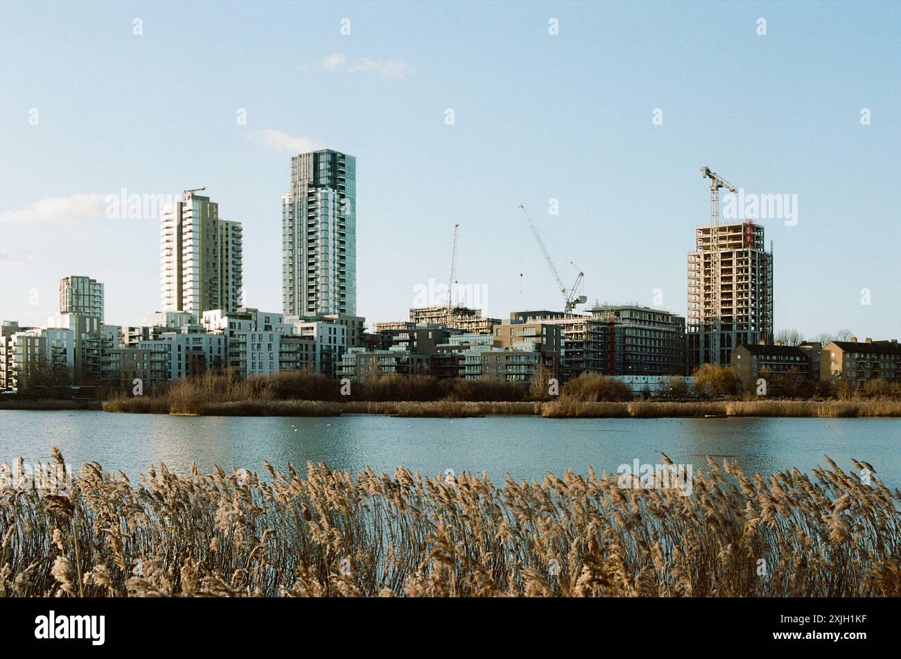 Nuovi appartamenti in costruzione, vista dalla riserva naturale Woodberry Wetlands, Londra, Regno Unito Foto Stock