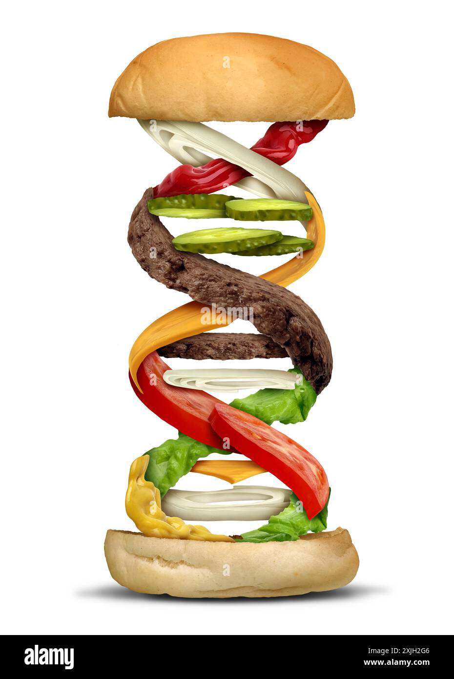 Scienza alimentare e dieta bilanciata biologia genetica come scienze nutrizionali con un filamento di DNA come concetto di salute dietetica come un Burger di formaggio assemblato con Foto Stock