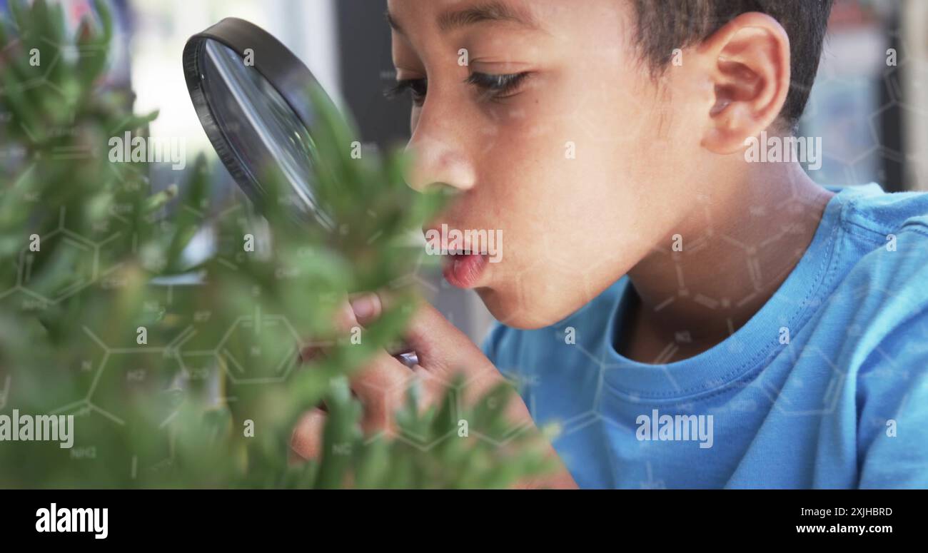 Esame delle piante con lente d'ingrandimento, osservazione della natura da parte dei bambini, immagine scientifica Foto Stock