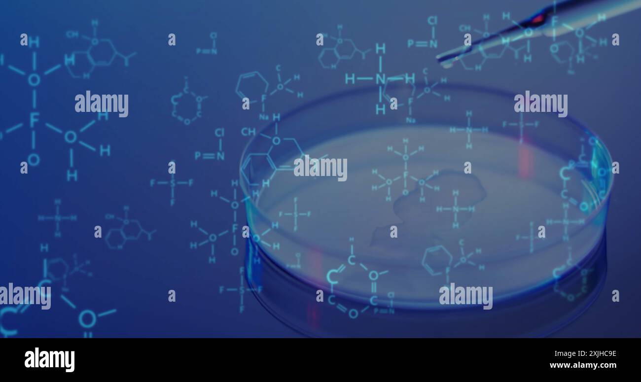 Immagine dell'elaborazione dei dati scientifici su pipetta e capsula Foto Stock