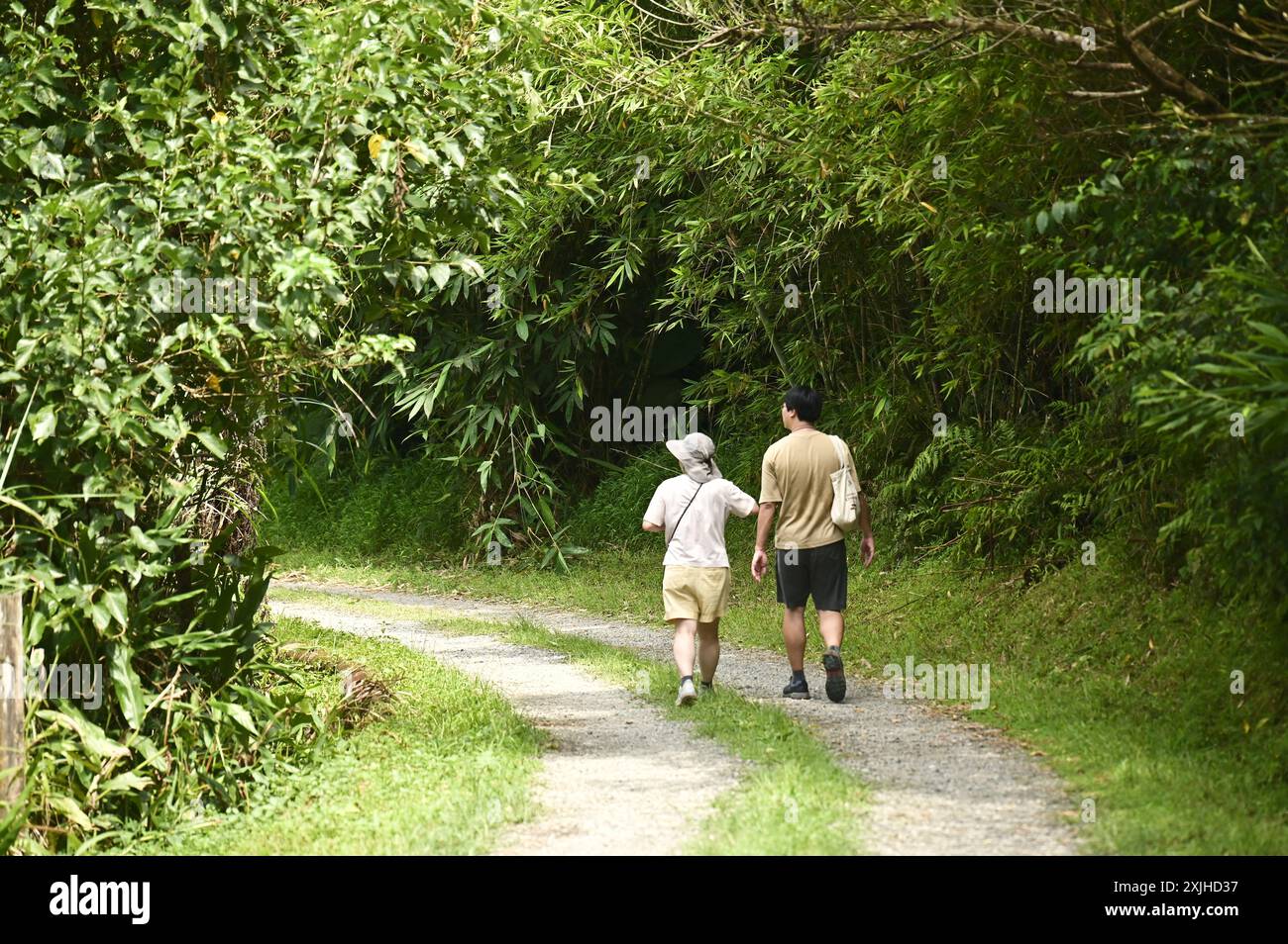 Taiwan - 13 luglio 2024: Cattura l'essenza dell'avventura estiva con la silhouette di un escursionista che attraversa un tranquillo sentiero immerso nel verde lussureggiante. Foto Stock