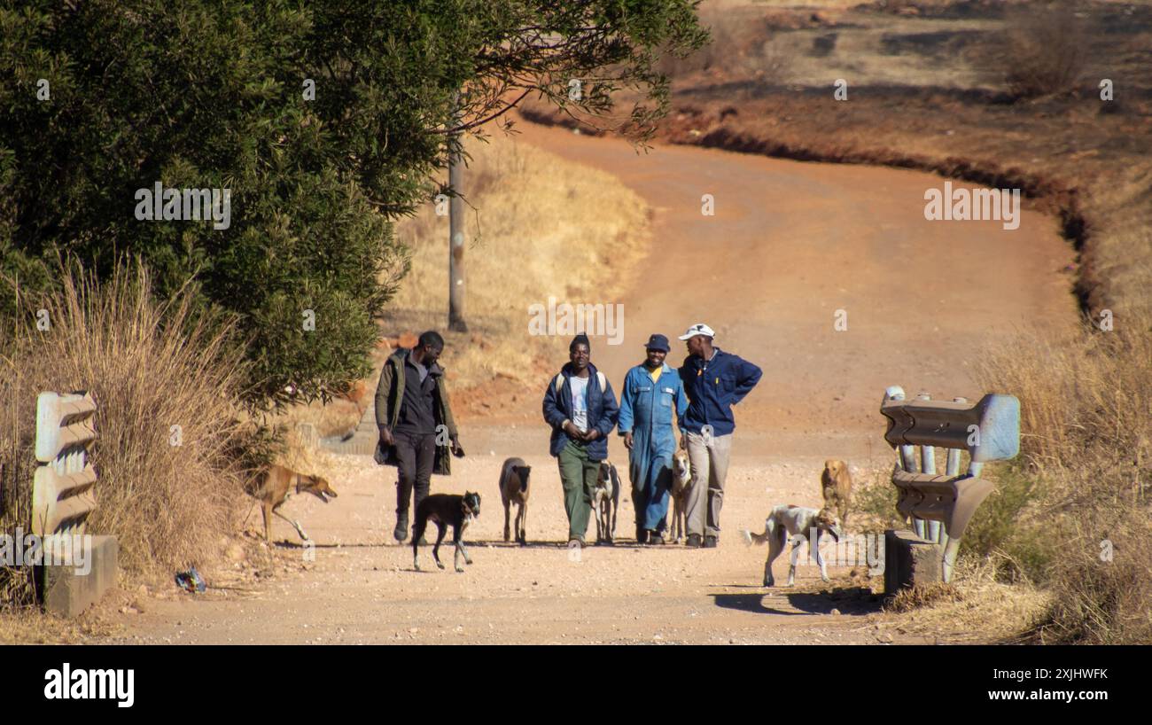 Johannesburg, Sud Africa - uomini non identificati che usano cani per la caccia illegale di selvaggina e uccelli piccoli in proprietà private a sud della città Foto Stock