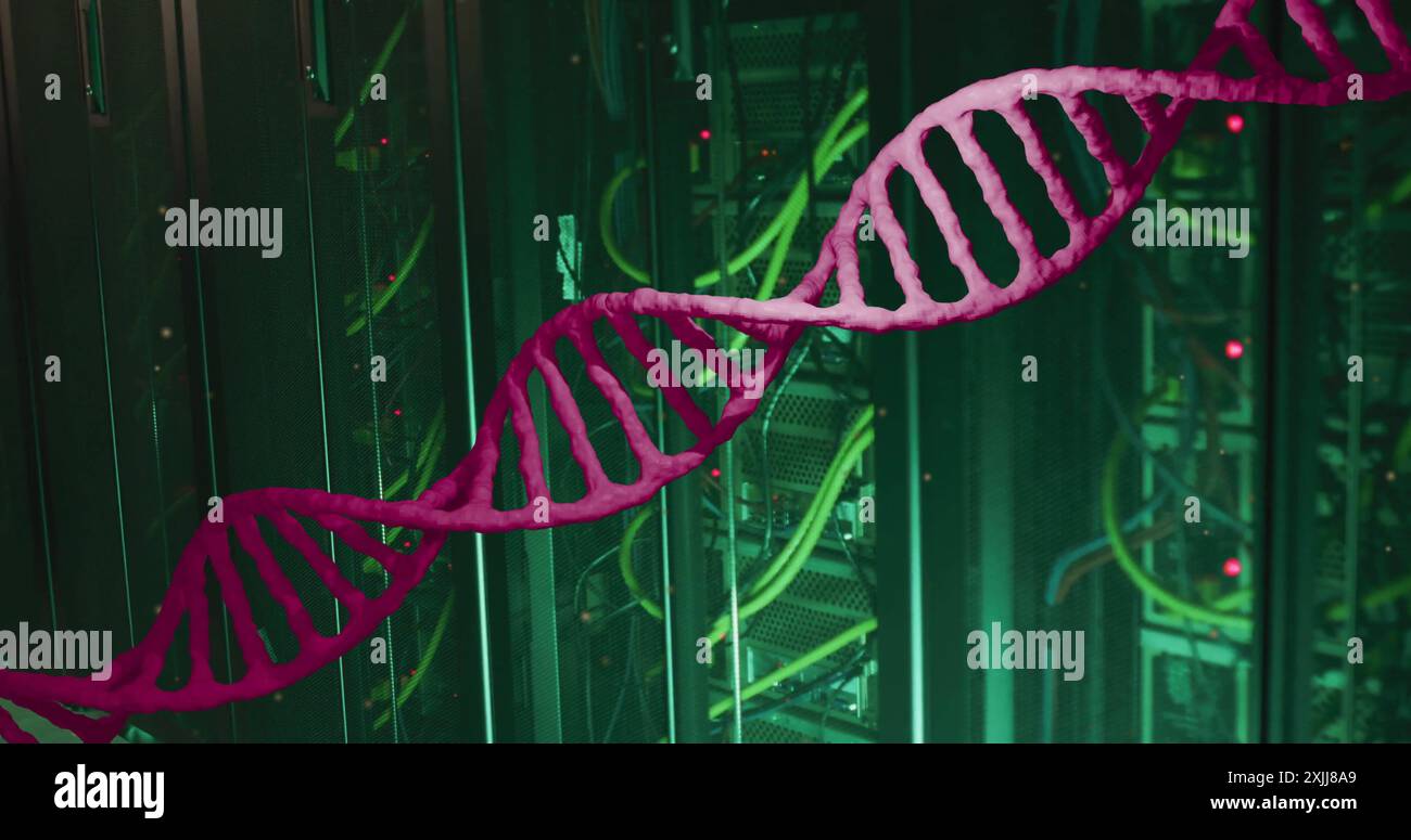 Immagine di un filamento di dna rosa che si muove su server di computer bui Foto Stock