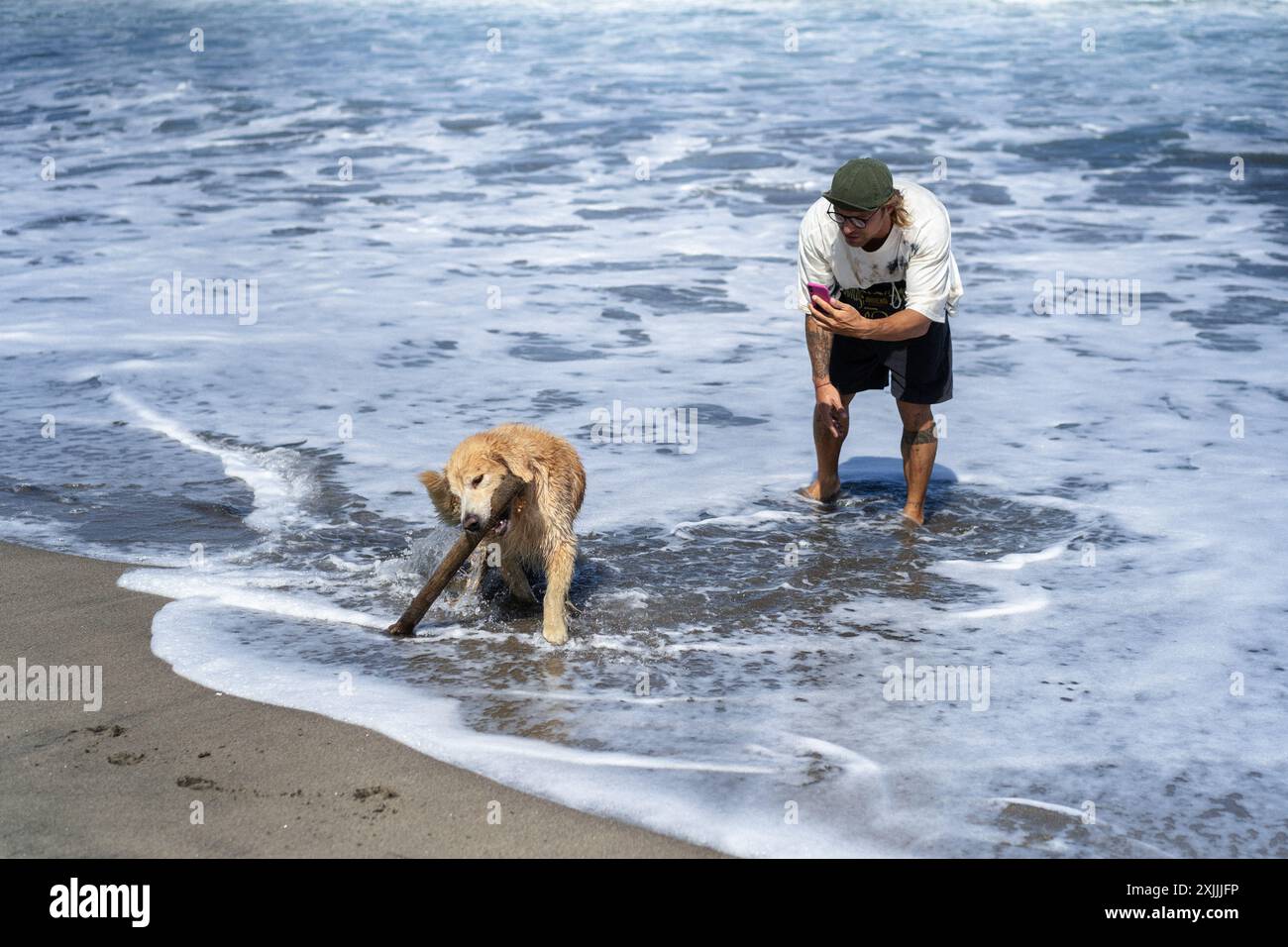 L'uomo gioca sulla spiaggia con il cane retriever. Foto Stock