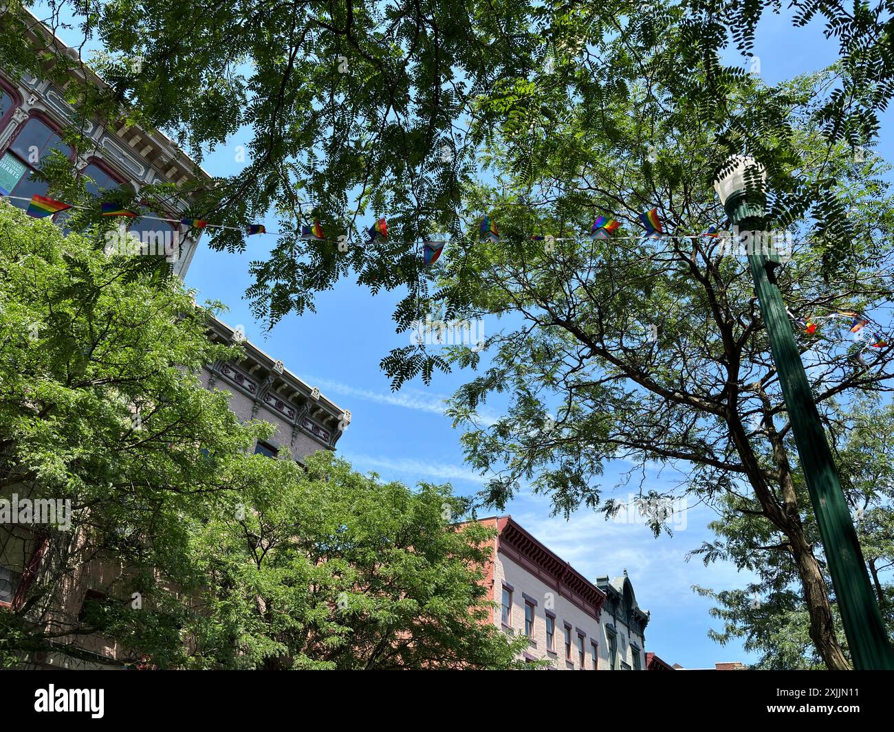 Tetti di edifici storici con rami di alberi a Troy, New York Foto Stock