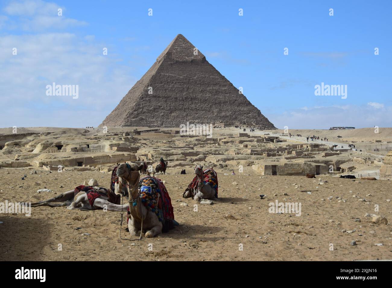 Piramide di Khafre con cammelli riposanti a Giza, Egitto Foto Stock