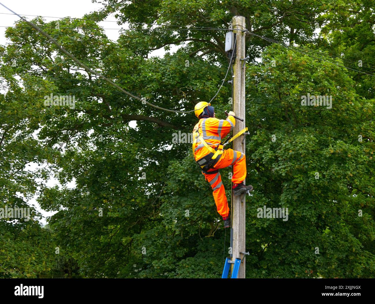 Sharnbrook, Bedfordshire, Inghilterra, Regno Unito - Un uomo di linea che sale su un palo del telegrafo in un villaggio per effettuare una riparazione su una linea telefonica Foto Stock