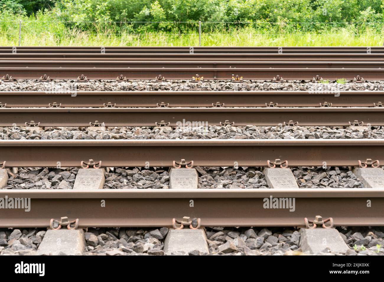 Schema di cinque binari ferroviari su ghiaia come vista laterale. Recinzione parallela ai binari e paesaggio verde con erba e cespugli nel backgro Foto Stock