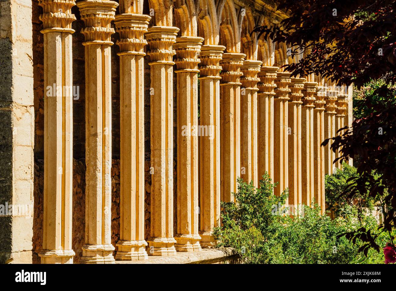 Monastero di Miramar, archi gotici del XIII secolo dell'ex convento di Santa Margalida a Palma, Valldemossa, Sierra de Tramuntana, Maiorca, Spagna. Foto Stock