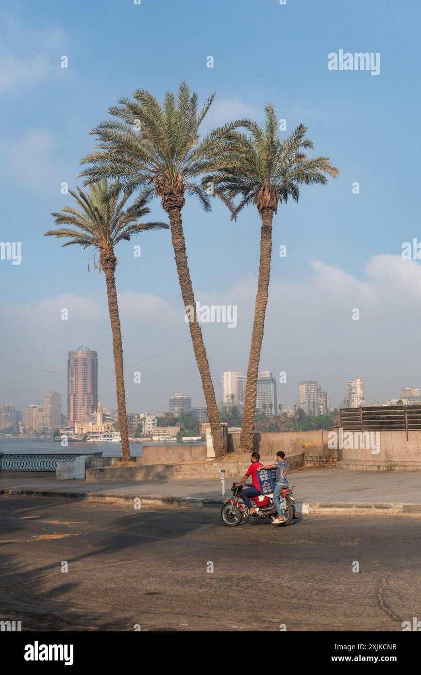 Cairo, Egitto. 1 luglio 2024. Palme visibili accanto al ponte Qasr El Nil e al fiume Nilo nel centro del Cairo. (Foto di John Wreford/SOPA Images/Sipa USA) credito: SIPA USA/Alamy Live News Foto Stock