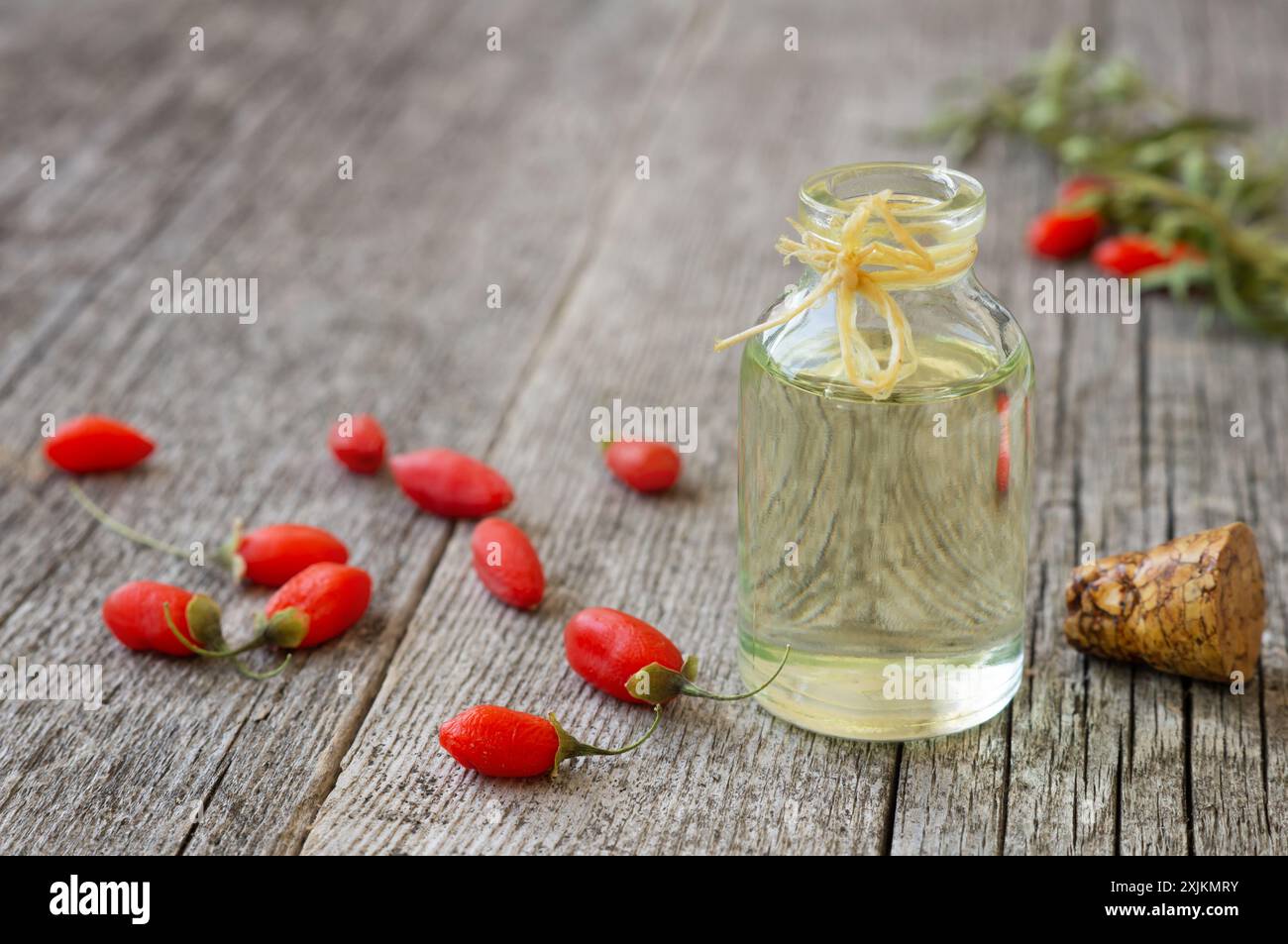 Bottiglia in vetro di olio di bacca di goji con bacche di goji fresche, Lycium barbarum Foto Stock