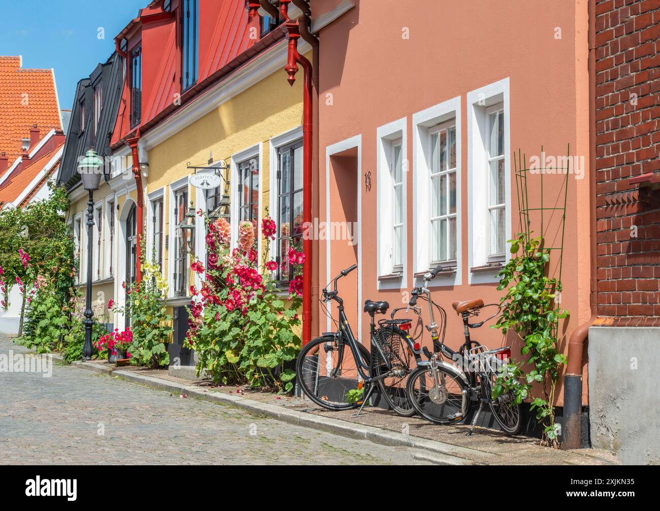 Hollyhocks (Alcea si alzò in case in una piccola strada nell'idilliaco centro di Ystad, Scania, Svezia, Scania, Scandinavia Foto Stock