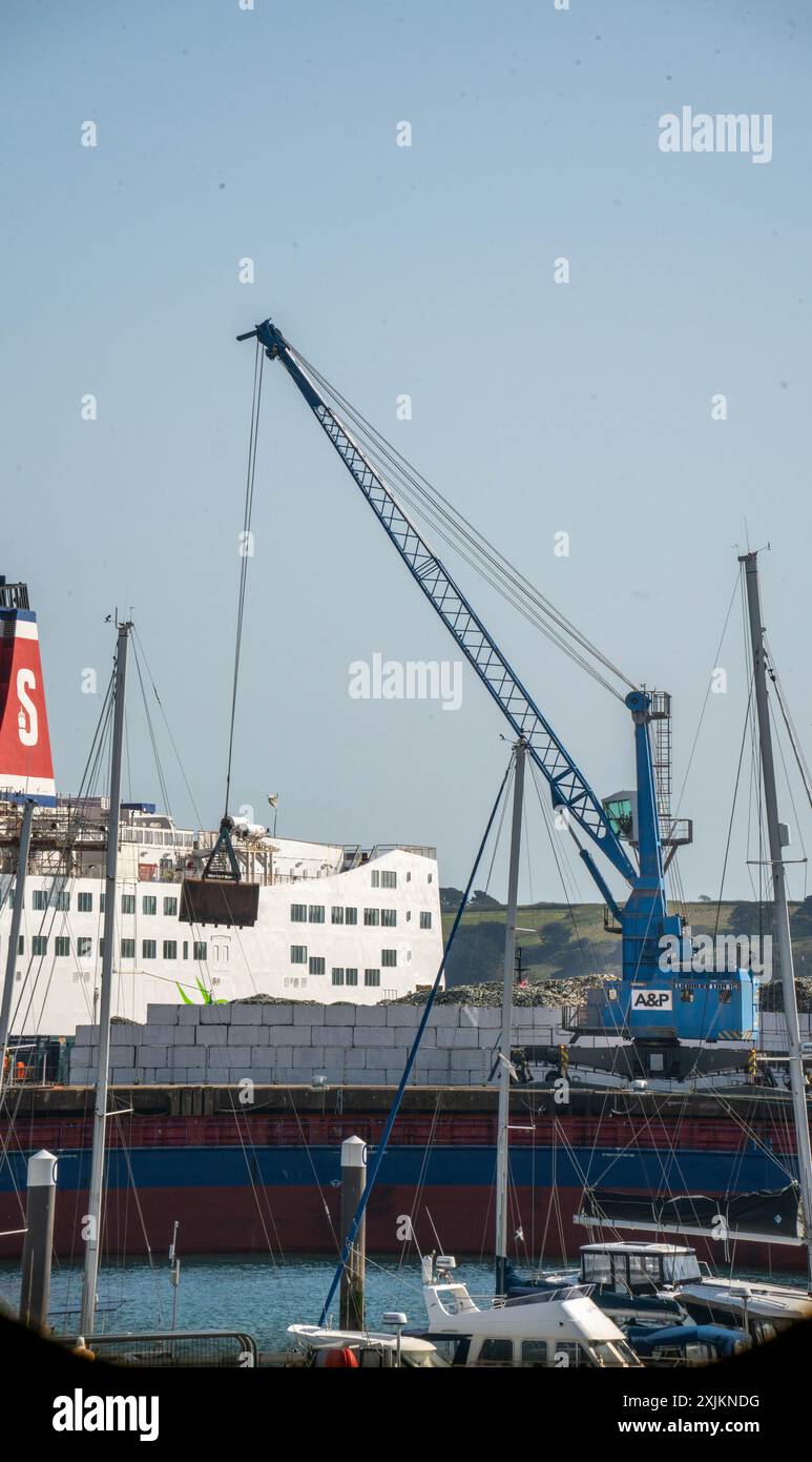 Gru a&P Facility presso Falmouth Docks Foto Stock