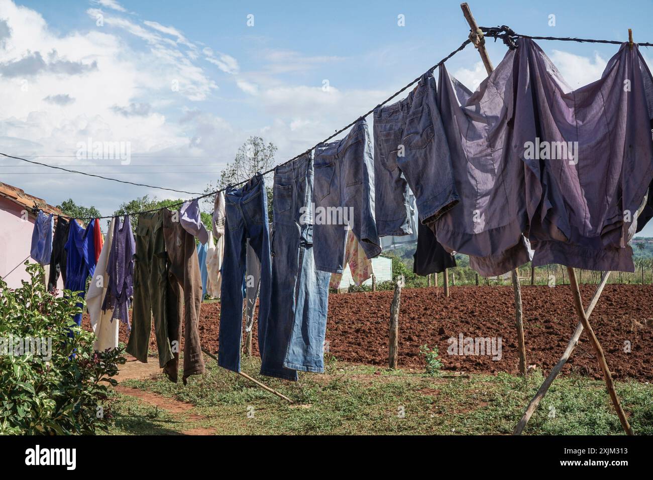 vestiti impiccati per asciugare in giardino in estate Foto Stock