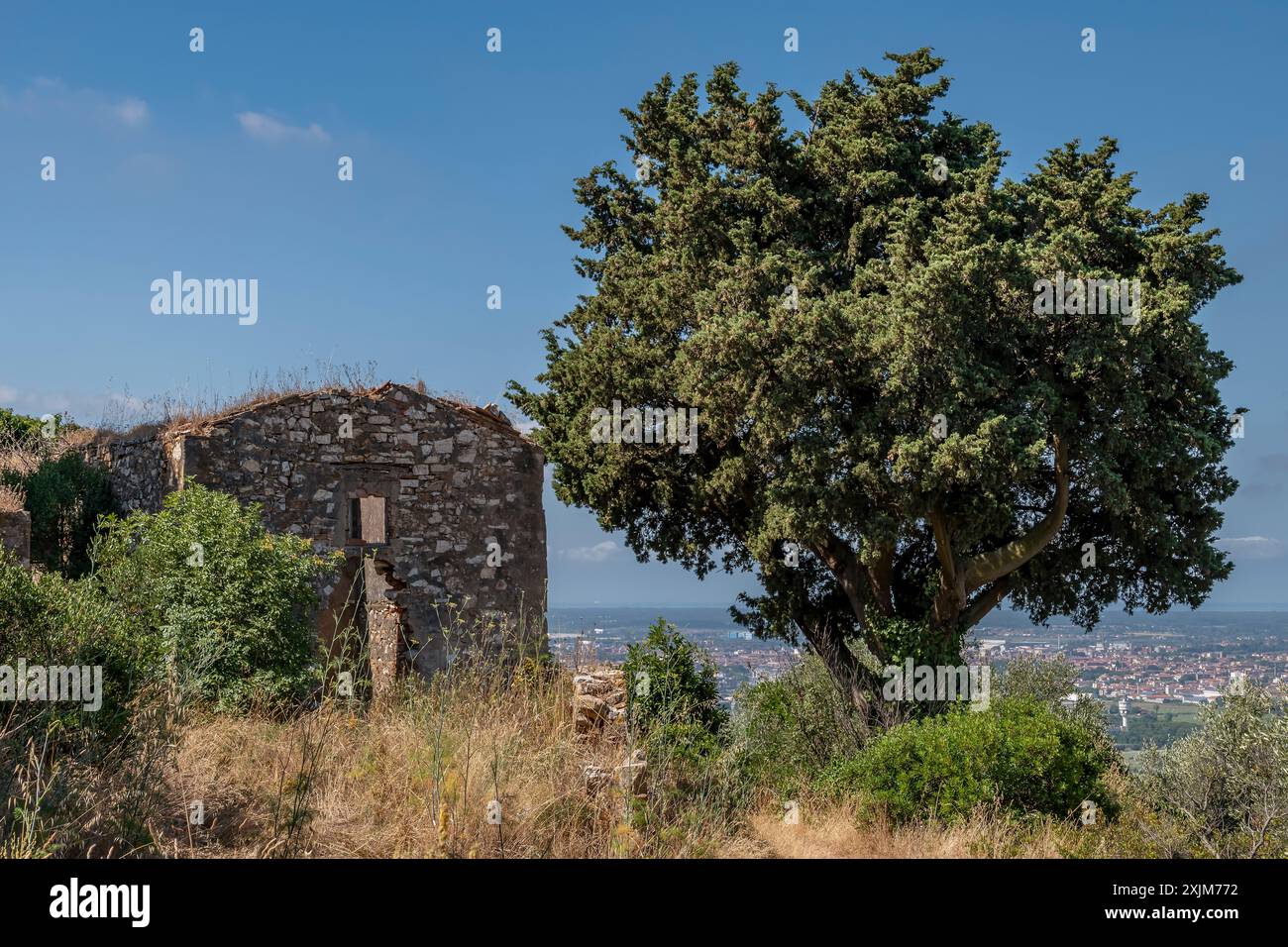 Un'antica rovina abbandonata sul Monte Castellare, che domina Pisa, Italia Foto Stock