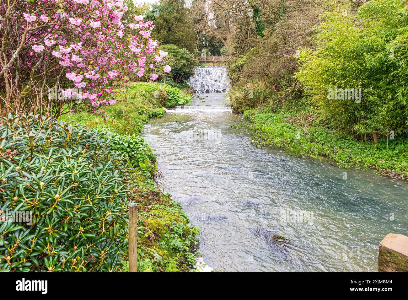 Himalayan Garden a Harewood House, West Yorkshire, Inghilterra Regno Unito Foto Stock