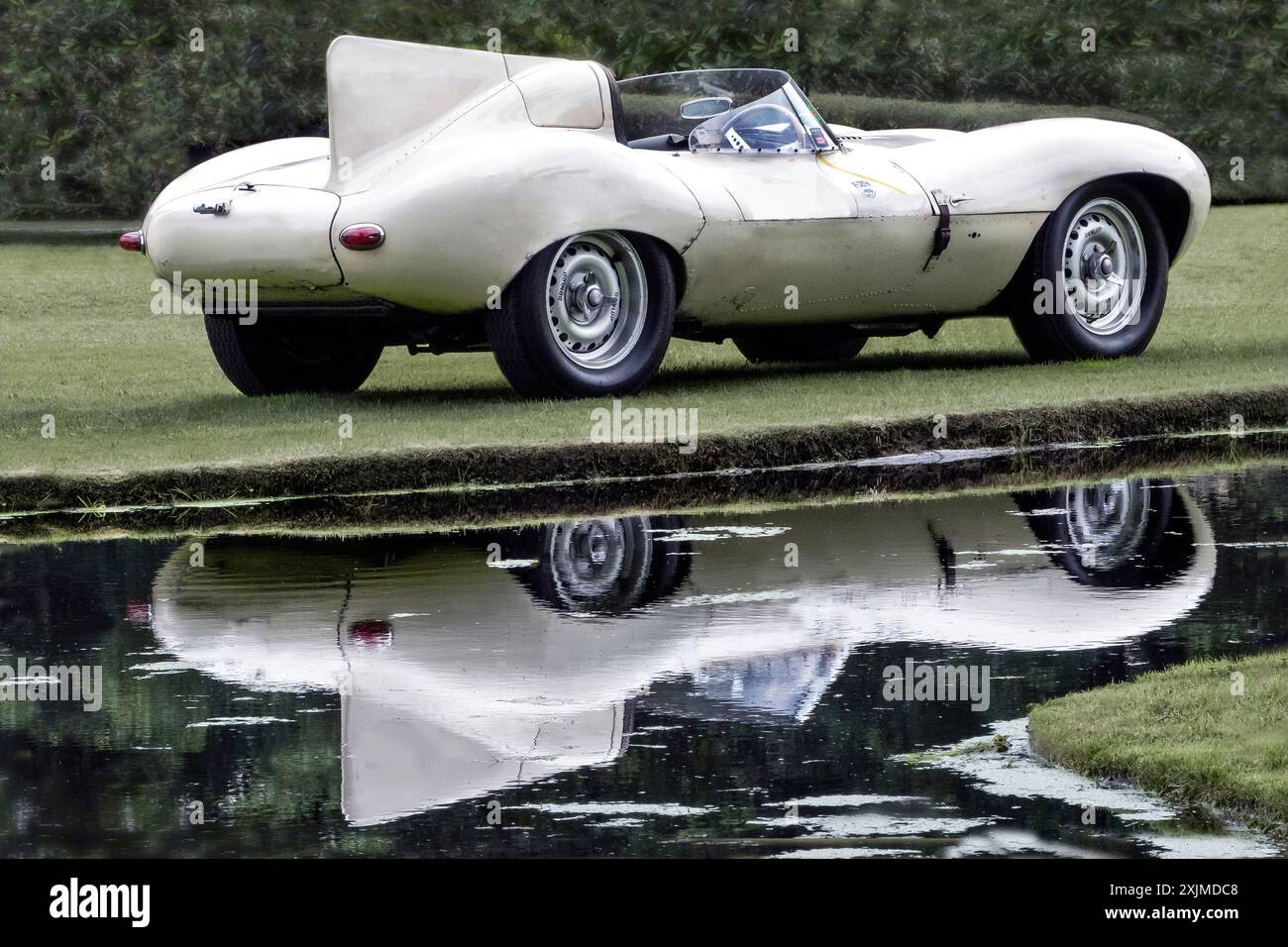 1955 Jaguar D Type, auto da corsa a becchi corti Foto Stock
