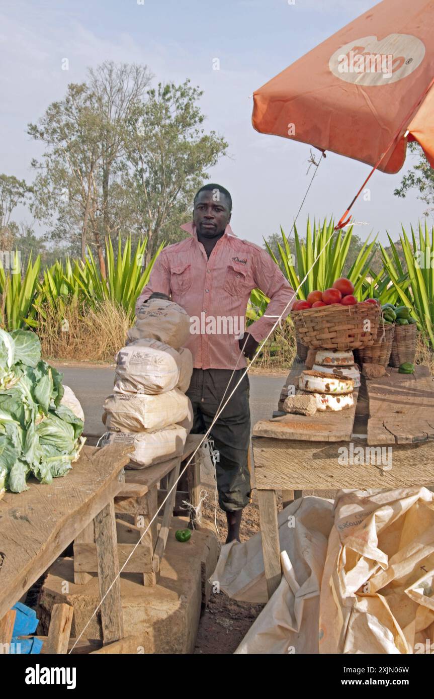 Bancarelle di verdure lungo la strada, Stato di Kaduna, Nigeria, Africa. Bancarelle di verdure e venditore. Grandi piante lungo la strada. Foto Stock