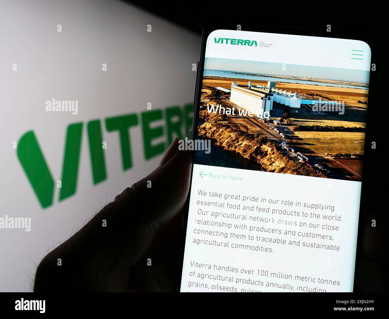 Stoccarda, Germania, 03-08-2023: Persona che possiede uno smartphone con pagina web della società commerciale di materie prime Viterra Limited sullo schermo davanti al logo. Concentrati Foto Stock