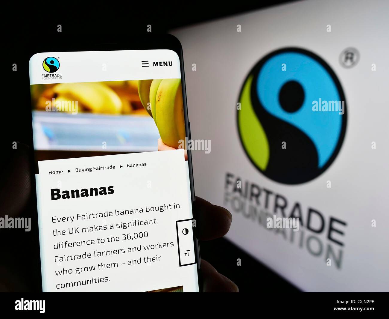 Stoccarda, Germania, 03-11-2023: Persona che possiede uno smartphone con il sito web dell'organizzazione benefica The Fairtrade Foundation sullo schermo con il logo. Concentrati su Foto Stock
