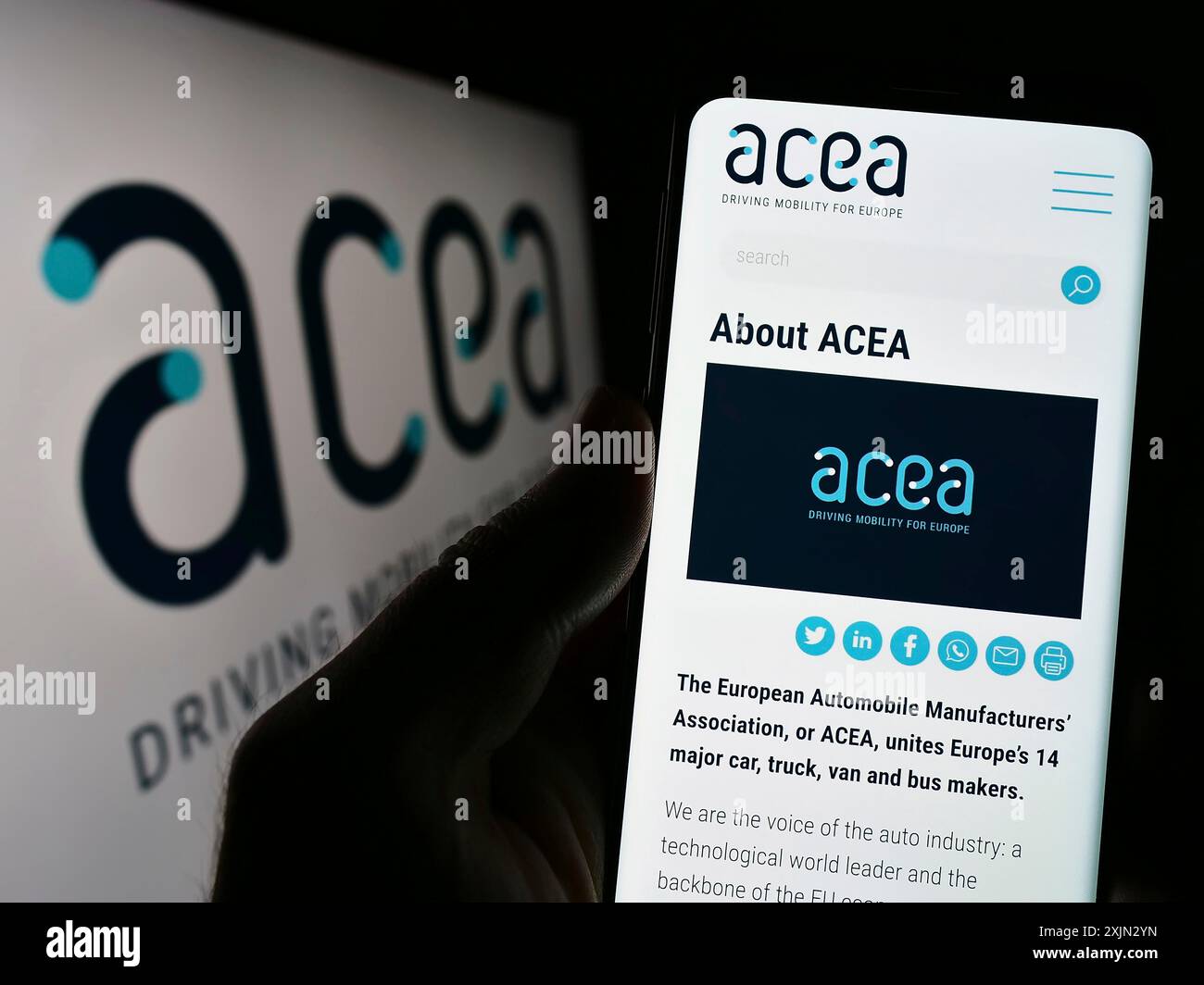 Stoccarda, Germania, 03-12-2023: Persona che detiene il cellulare con sullo schermo il sito web dell’Associazione europea dei costruttori di automobili (ACEA). Concentrati su Foto Stock