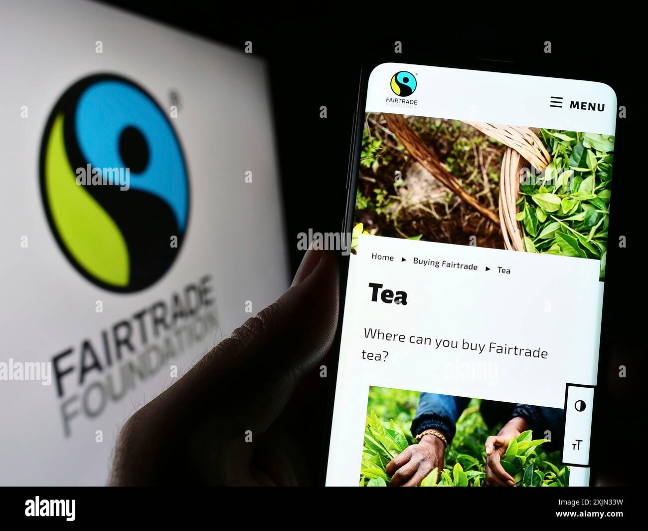 Stoccarda, Germania, 03-11-2023: Persona con smartphone e pagina web dell'organizzazione benefica The Fairtrade Foundation sullo schermo con logo. Concentrati Foto Stock