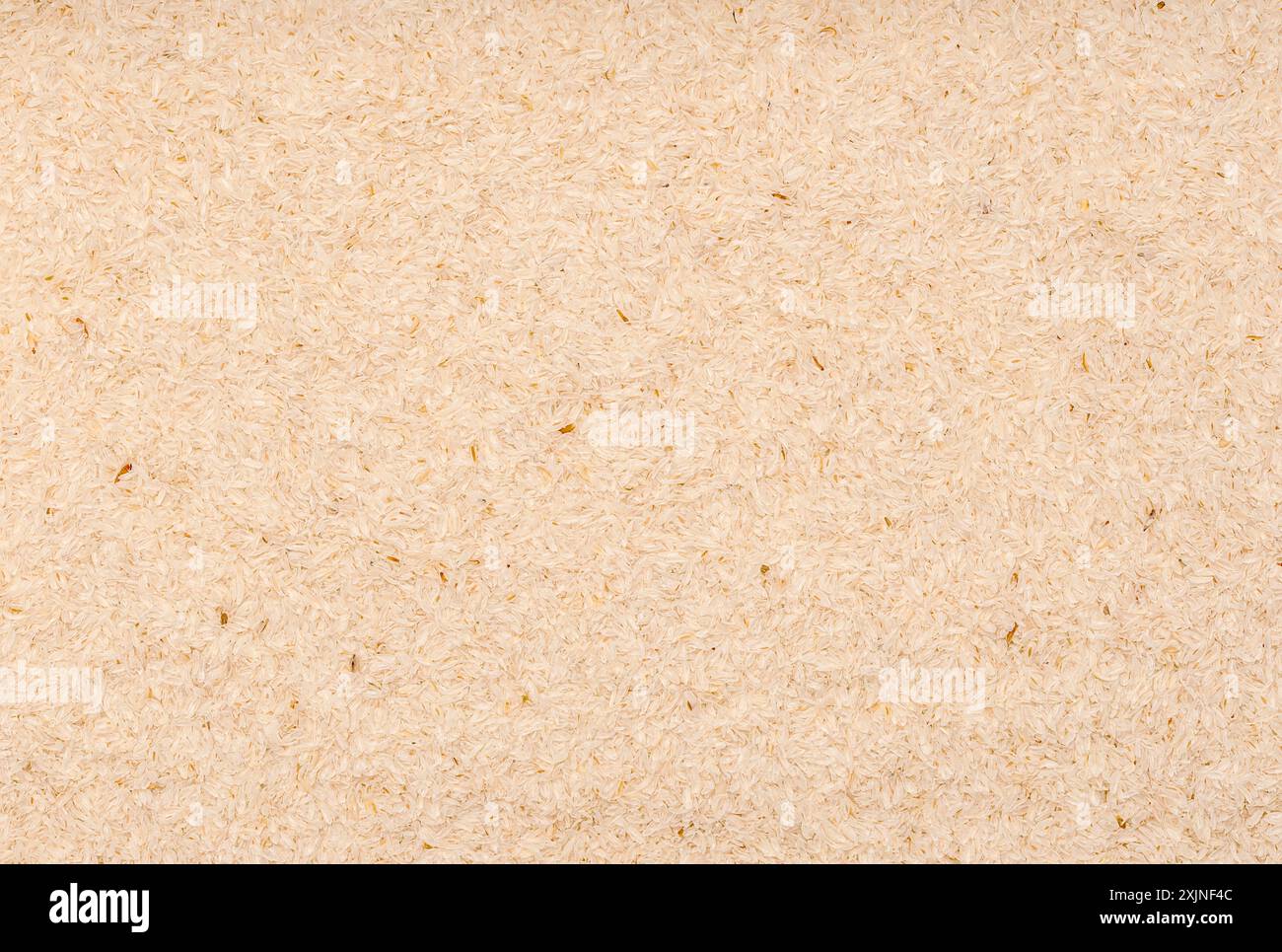 Macrofotografia di buccia di psyllium, cruda, dietetica, isabgol, fibra, digestivo, ayurveda, integratore, paleo, cheto, dieta, erbe, ingrediente, erbe, guarigione Foto Stock