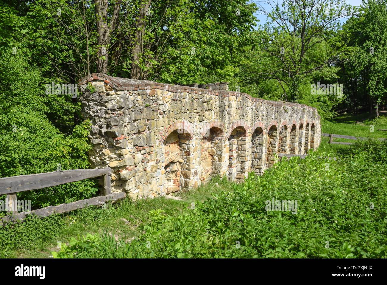 Rovine del castello medievale di Melsztyn, frammento delle mura rinascimentali, Polonia. Foto Stock