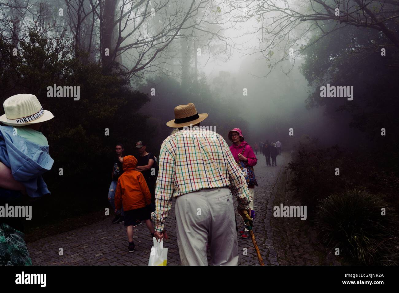 I turisti camminano attraverso i nebbiosi sentieri acciottolati dei giardini del palazzo pena, circondati da una vegetazione lussureggiante Foto Stock